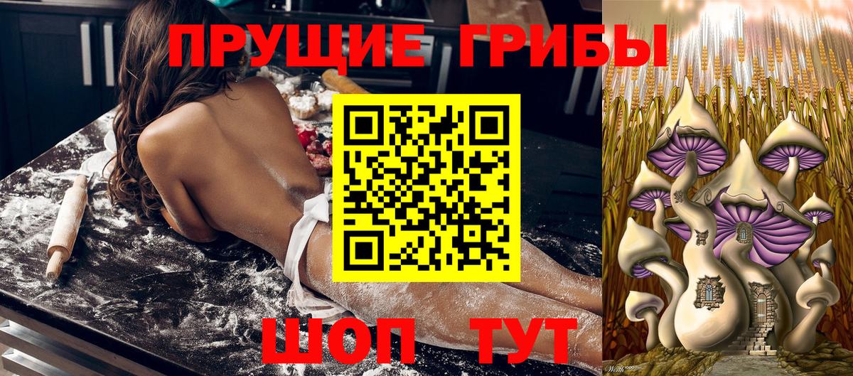 Дедовск  купить   Вход с VPN  Псилоцибиновые грибы Psilocybine cubensis  Псилоцибиновые грибы мицелий 
