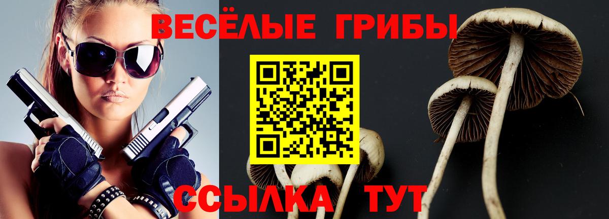 Псилоцибиновые грибы мухоморы Дедовск